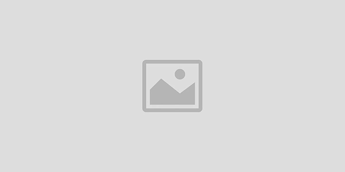 Bakshirhat.com promo